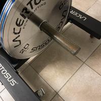 Dischi Lacertosus Powerlifting