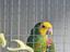 Immagine 4