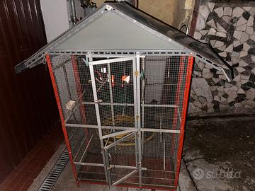 Voliera x esterno