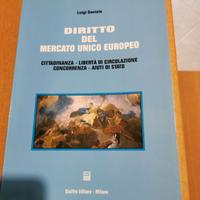 Diritto del mercato unico europeo 