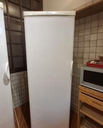 frigorifero a libera istallazione Electrolux