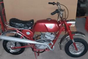 Bonvicini Boss 1972 motore franco morini