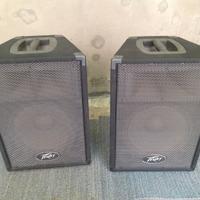 PEAVEY SPEAKERS PVi10*PASSIVE***AFFAREEE***