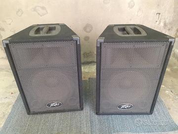 PEAVEY SPEAKERS PVi10*PASSIVE***AFFAREEE***