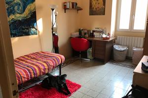 Stanza singioa Furio Camillo