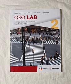 Geo lab. Capire la geografia economica (Vol.2)