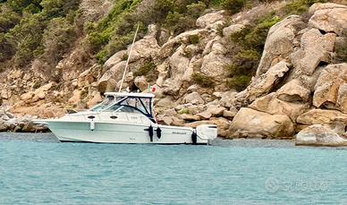 Wellcraft coastal 290 300 suzuki Permuto