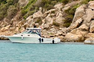 Wellcraft coastal 290 300 suzuki Permuto