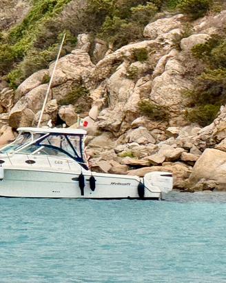 Wellcraft coastal 290 300 suzuki Permuto
