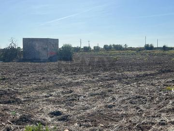Terreno Edificabile - Noicattaro