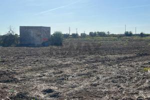 Terreno Edificabile - Noicattaro
