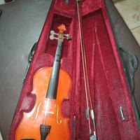 violino