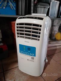 pinguino climatizzatore portatile