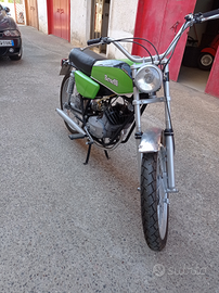 Benelli t50