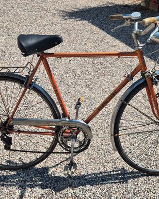 bicicletta