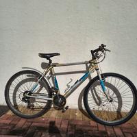 Mountain bike usata
