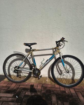 Mountain bike usata
