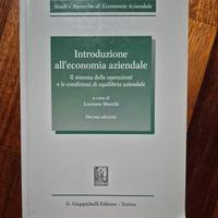 Introduzione all'economia aziendale 