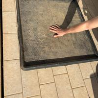 Pet Tray vassoio petzolla