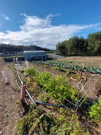 Terreno Agricolo 1000mq