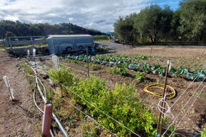 Terreno Agricolo 1000mq