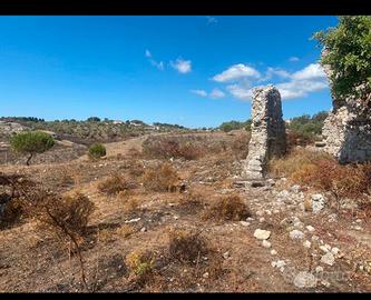 Terreno ad avola antica