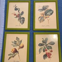 Quadri con frutta - cucina/soggiorno/salone