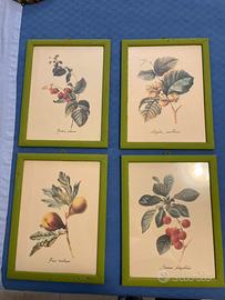 Quadri con frutta - cucina/soggiorno/salone