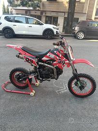 Pit Bike 125 Apollo