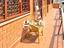 Immagine 21