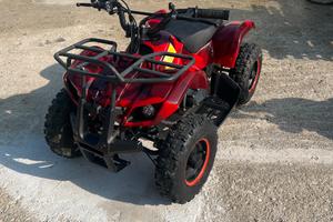Mini quad 50cc