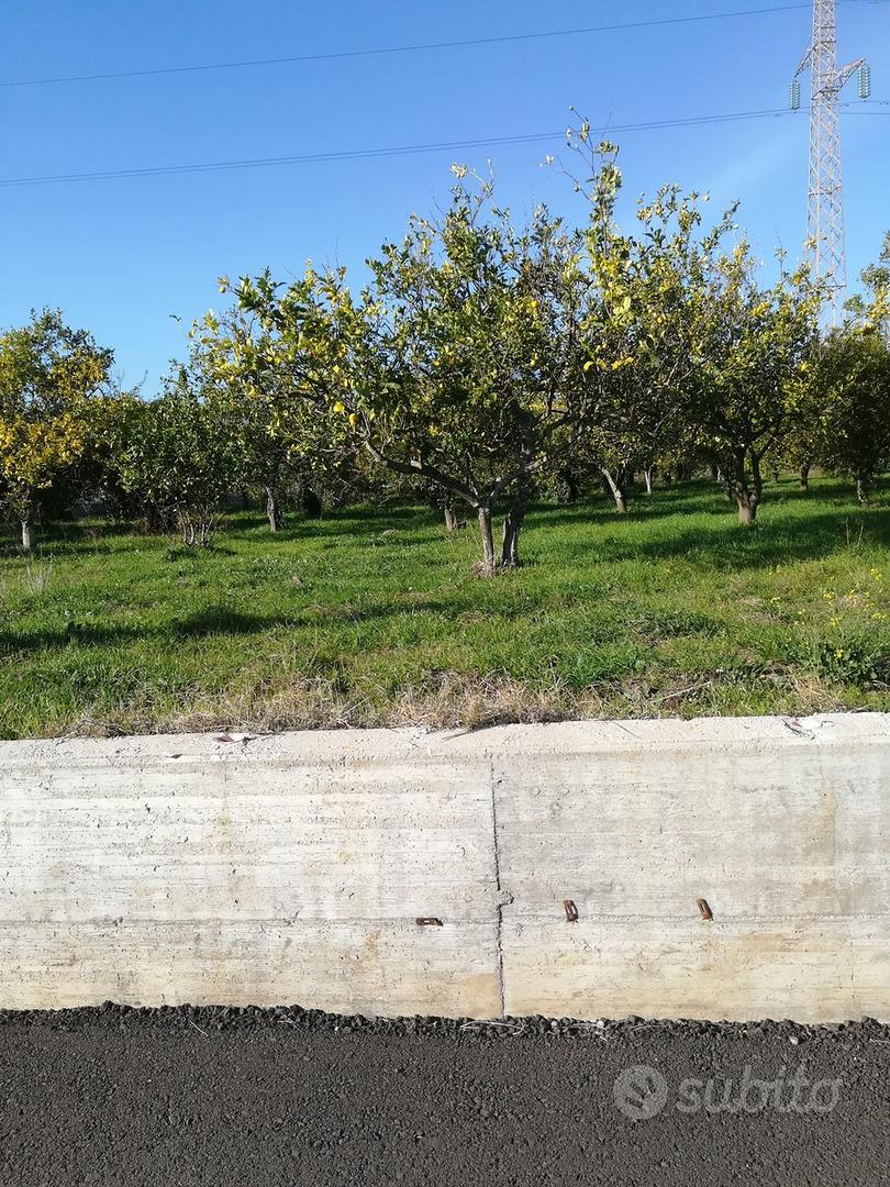 Pianeggiante pressi Stazione - View 6