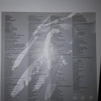 disco 33 giri  vinile  bad religion