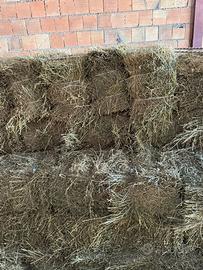 Fieno in ballette vari tagli