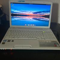 Pc Toshiba