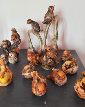 Lotto di uccellini 