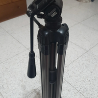 Trepiedi per videocamera