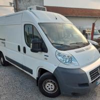 Ducato frigo atp ok