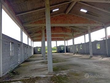 1200 m cubi area residenziale 3 unità capannone