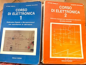 2 Libri Elettronica - Panella, Spalierno