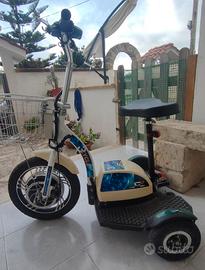 bicielettrica/biga