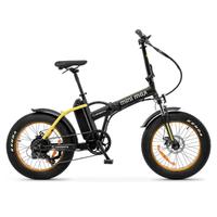 Bici Elettrica Argento MiniMax pieghevole RuoteFat