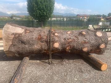 Tronchi da segare