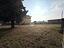 Immagine 12