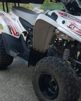 Quad Aeon cobra 50cc