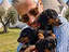 Immagine 1
