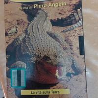 Video enciclopedia della natura vintage