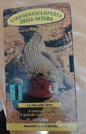 Video enciclopedia della natura vintage