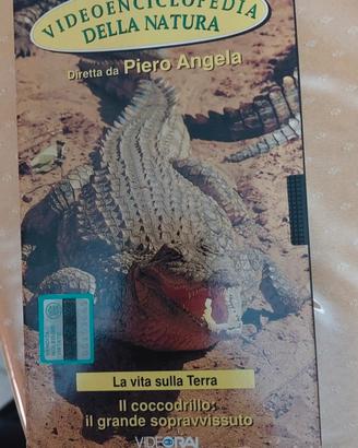 Video enciclopedia della natura vintage