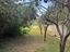 Immagine 9